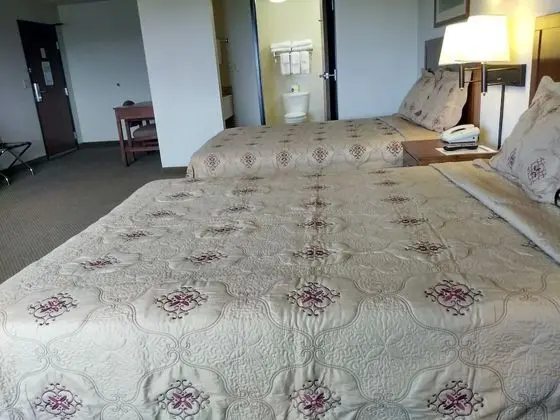 Executive Oda, Birden Çok Yatak