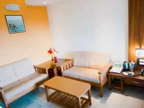 Deluxe Tek Kişilik Oda, 1 Yatak Odası, Özel Banyo, Şehir Manzaralı