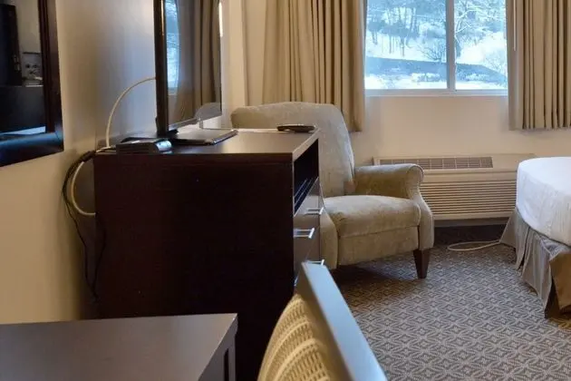 Deluxe Tek Büyük Yataklı Oda, Birden Çok Yatak, Buzdolabı ve Mikrodalga