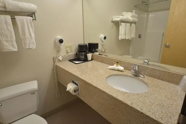 Deluxe Tek Büyük Yataklı Oda, Birden Çok Yatak, Buzdolabı ve Mikrodalga