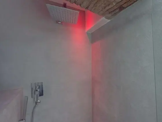 Ev