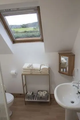 Tek Büyük Yataklı Oda (BALLYLIFFIN - UPSTAIRS)