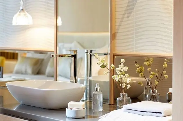 Premium Oda, Park Manzaralı