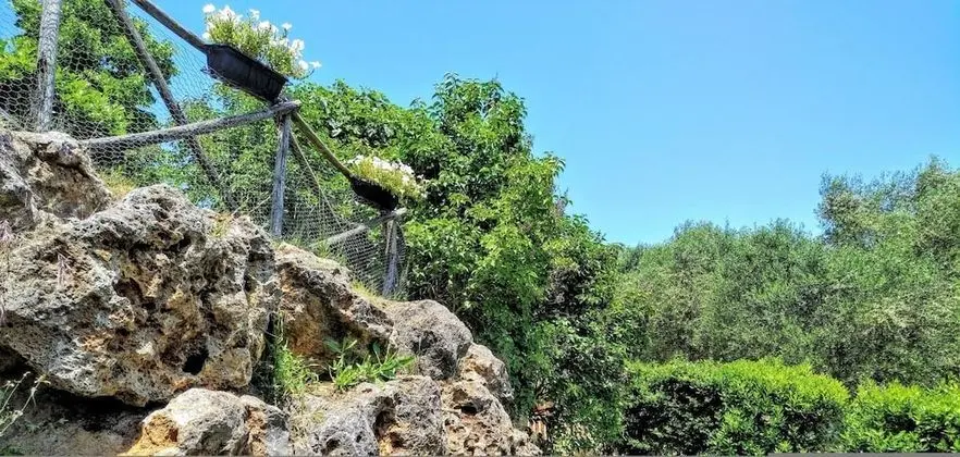 Apart Daire, Sigara İçilebilir