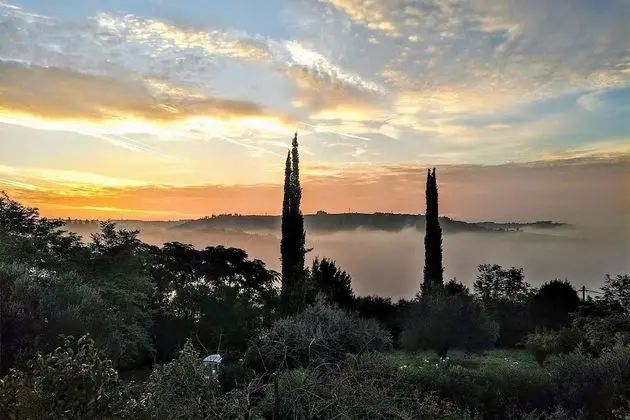 Apart Daire, Sigara İçilebilir