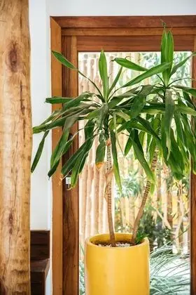 Süit, Havuz Manzaralı