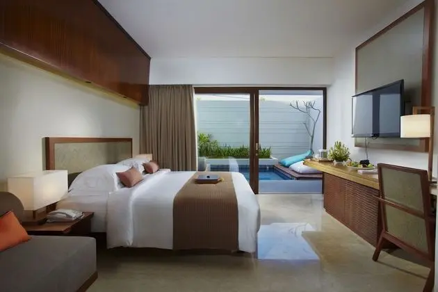 Premier Room with Private Plunge Pool
