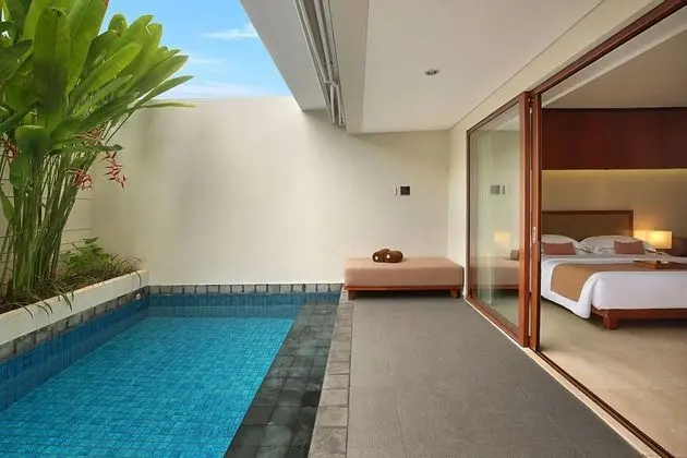 Premier Room with Private Plunge Pool