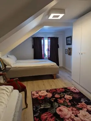 Basic Tek Büyük Yataklı Oda, Ortak Banyo, Bahçeli