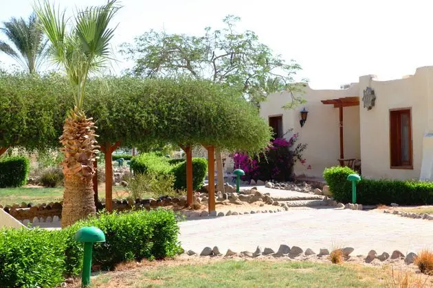 Bungalov Garden View