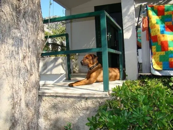 Apart Daire (Magic - 150 m from beach - A3(2+2))