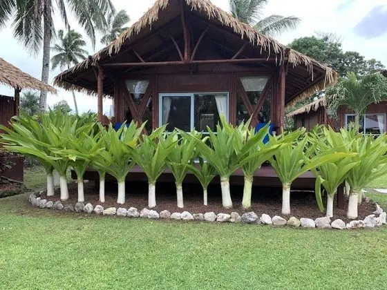 Bungalov, Bahçe Manzaralı
