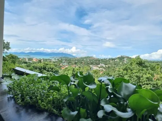 Magic View Private Spa Suite