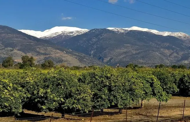 Deluxe Süit, 2 Yatak Odası, Mutfak, Bahçe Manzaralı