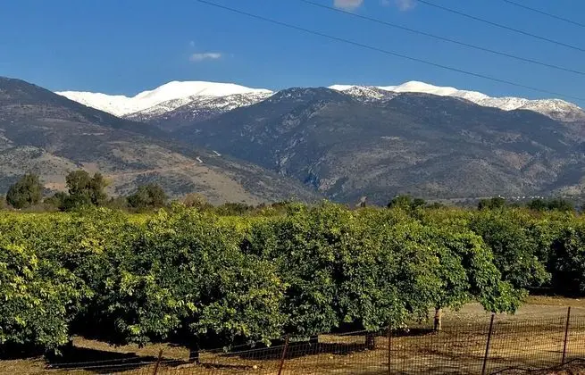 Deluxe Süit, Sıcak Su Havuzu, Bahçe Manzaralı