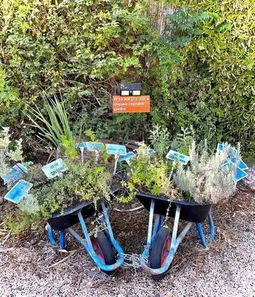 Deluxe Süit, Sıcak Su Havuzu, Bahçe Manzaralı