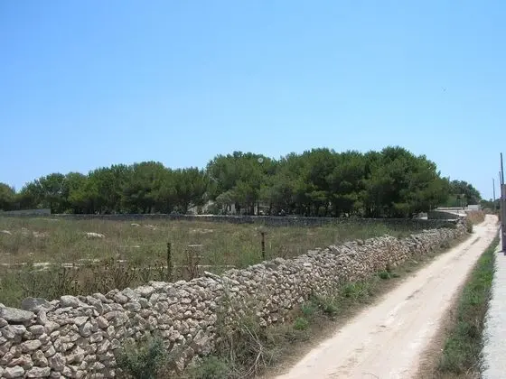Oda, 1 Yatak Odası, Teras