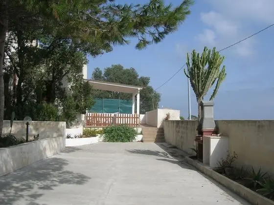 Oda, 1 Yatak Odası, Teras