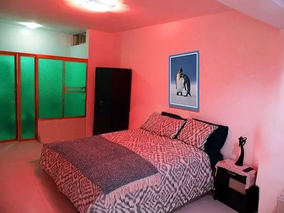 Basic Tek Büyük Yataklı Oda, 1 Yatak Odası, Özel Banyo