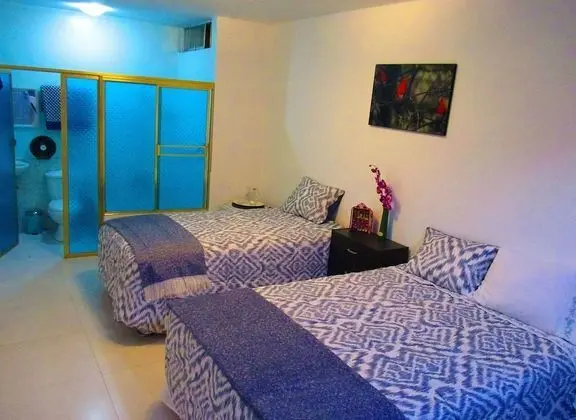 Executive İki Ayrı Yataklı Oda, 1 Yatak Odası, Özel Banyo, Avlu Manzaralı