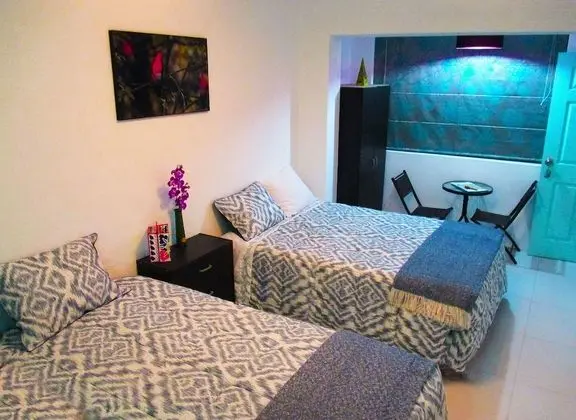 Executive İki Ayrı Yataklı Oda, 1 Yatak Odası, Özel Banyo, Avlu Manzaralı