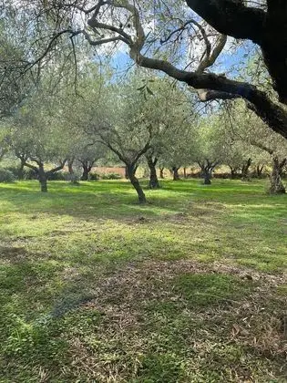 Villa, 3 Yatak Odası, Engellilere Uygun, Balkon