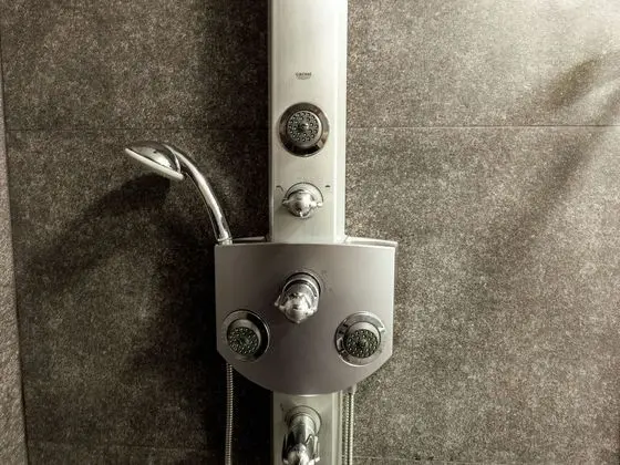 Ev