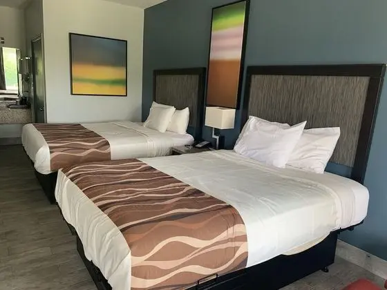 Standard Room, 2 Queen Beds Non-Smoking