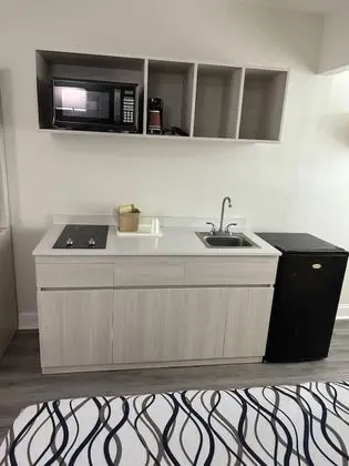 Executive Oda, 2 Çift Kişilik Yatak, Sigara İçilmez, Buzdolabı ve Mikrodalga