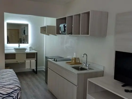 Executive Oda, 2 Çift Kişilik Yatak, Sigara İçilmez, Buzdolabı ve Mikrodalga