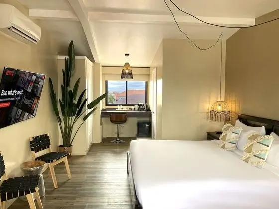 Luxury Oda, 1 En Büyük (King) Boy Yatak, Sigara İçilmez