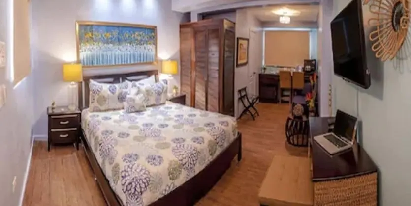 Luxury Oda, 1 En Büyük (King) Boy Yatak, Sigara İçilmez