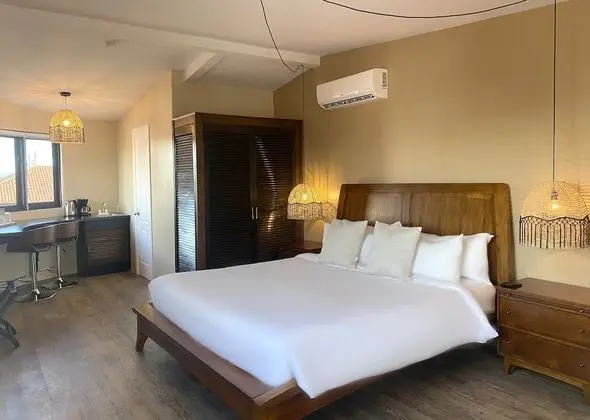 Luxury Oda, 1 En Büyük (King) Boy Yatak, Sigara İçilmez