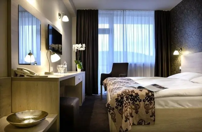 Executive Tek Büyük Yataklı Oda, Şehir Manzaralı