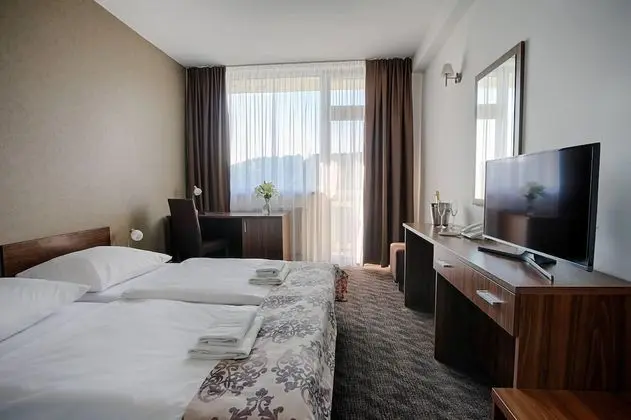 Executive Tek Büyük Yataklı Oda, Şehir Manzaralı