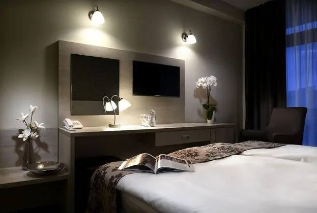 Executive Tek Büyük Yataklı Oda, Şehir Manzaralı