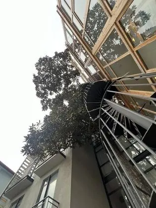 Standard Üç Kişilik Oda