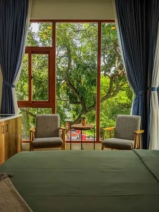 Deluxe Stüdyo, 1 En Büyük (King) Boy Yatak