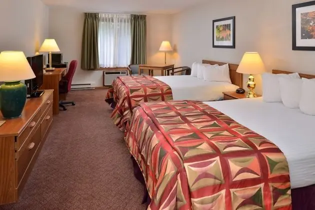 Oda, 2 Çift Kişilik Yatak, Sigara İçilmez (Non Pet-Friendly)