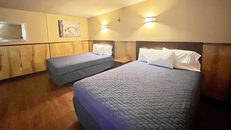 Deluxe Oda, 1 Yatak Odası, Sigara İçilmez
