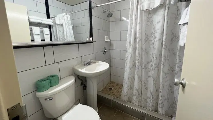 Deluxe Oda, 1 Yatak Odası, Sigara İçilmez
