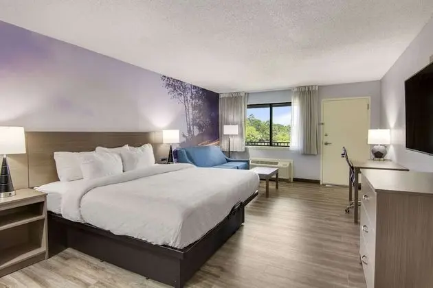 Standard Oda, 1 En Büyük (King) Boy Yatak ve Çekyat, Balkon, Göl Manzaralı (Non Smoking)