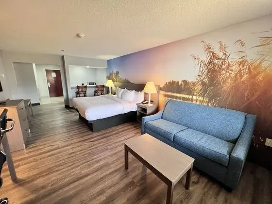 Standard Oda, 1 En Büyük (King) Boy Yatak ve Çekyat, Balkon, Göl Manzaralı (Non Smoking)