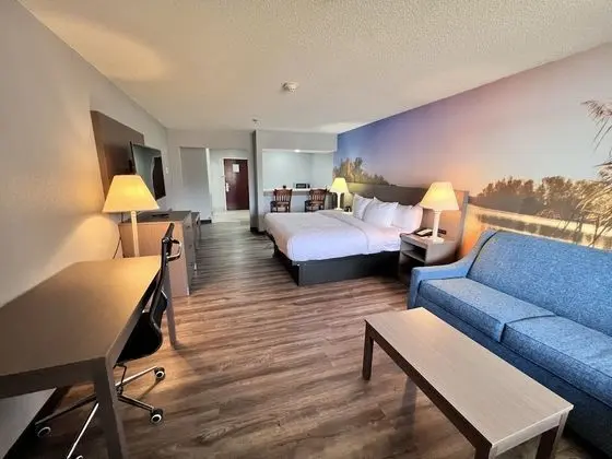 Standard Oda, 1 En Büyük (King) Boy Yatak ve Çekyat, Balkon, Göl Manzaralı (Non Smoking)