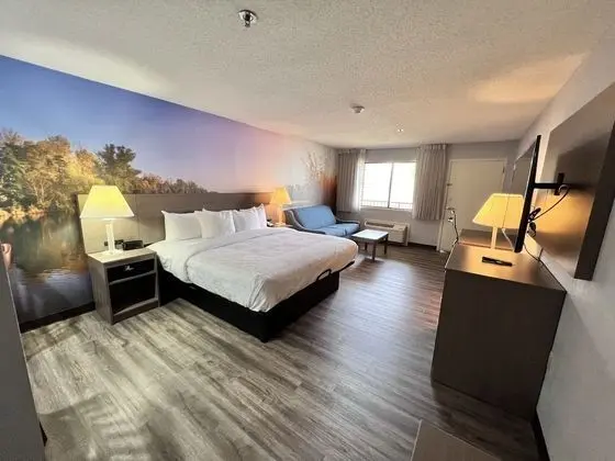 Standard Oda, 1 En Büyük (King) Boy Yatak ve Çekyat, Balkon, Göl Manzaralı (Non Smoking)