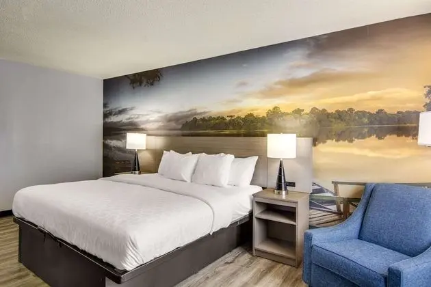 Standard Oda, 1 En Büyük (King) Boy Yatak ve Çekyat, Balkon, Göl Manzaralı (Non Smoking)