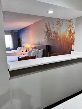 Standard Oda, 2 Büyük (Queen) Boy Yatak, Balkon, Göl Manzaralı (Non Smoking)