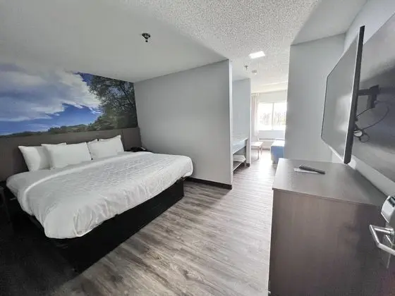 Süit, 1 En Büyük (King) Boy Yatak ve Çekyat, Balkon, Göl Manzaralı (Non Smoking)