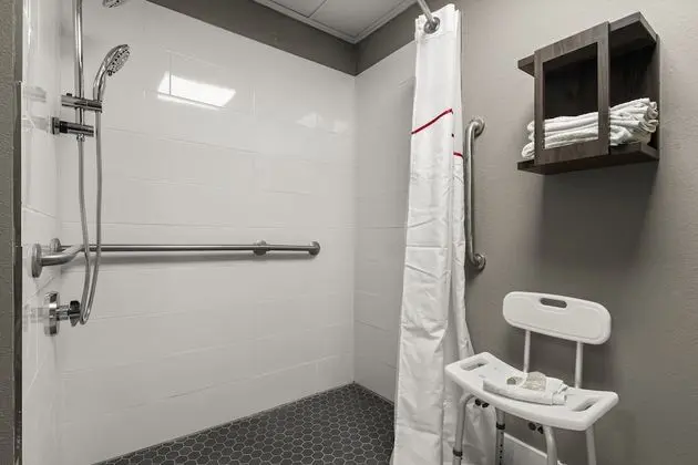 Deluxe Oda, 1 En Büyük (King) Boy Yatak, Engellilere Uygun, Sigara İçilmez (Roll-In Shower)