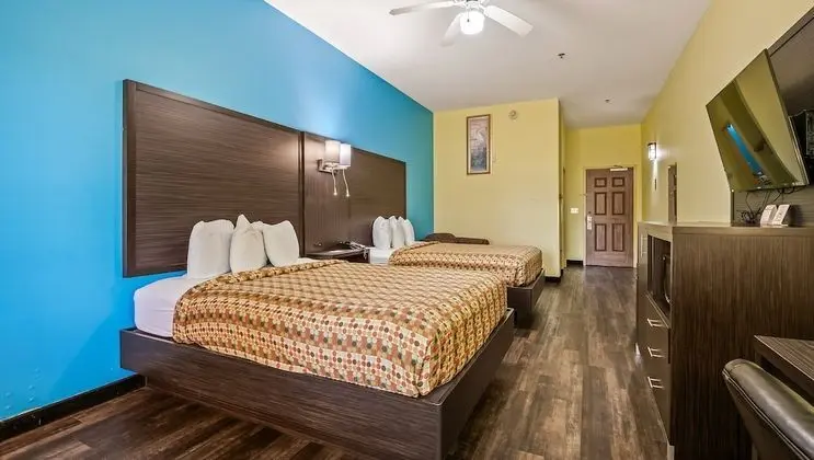 Oda, 2 Büyük (Queen) Boy Yatak, Sigara İçilmez, Buzdolabı ve Mikrodalga